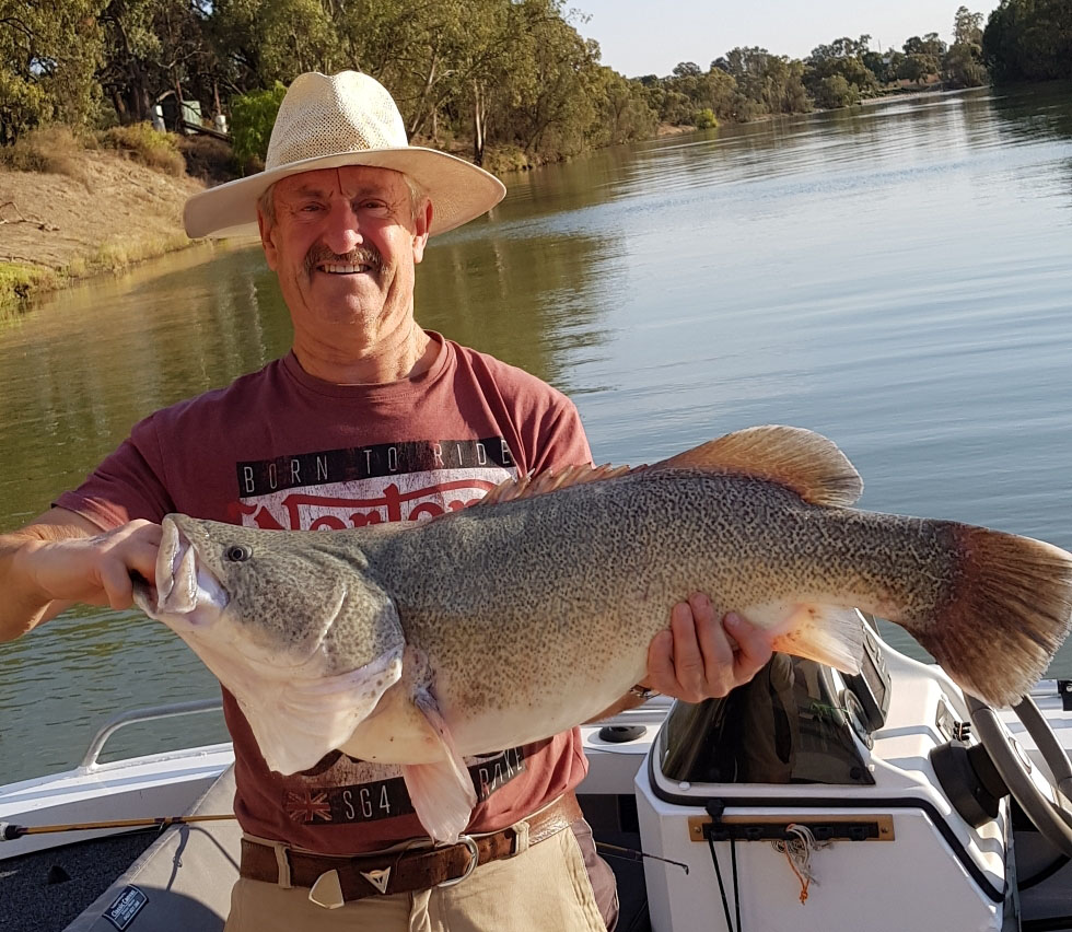 Discover Wentworth NSW